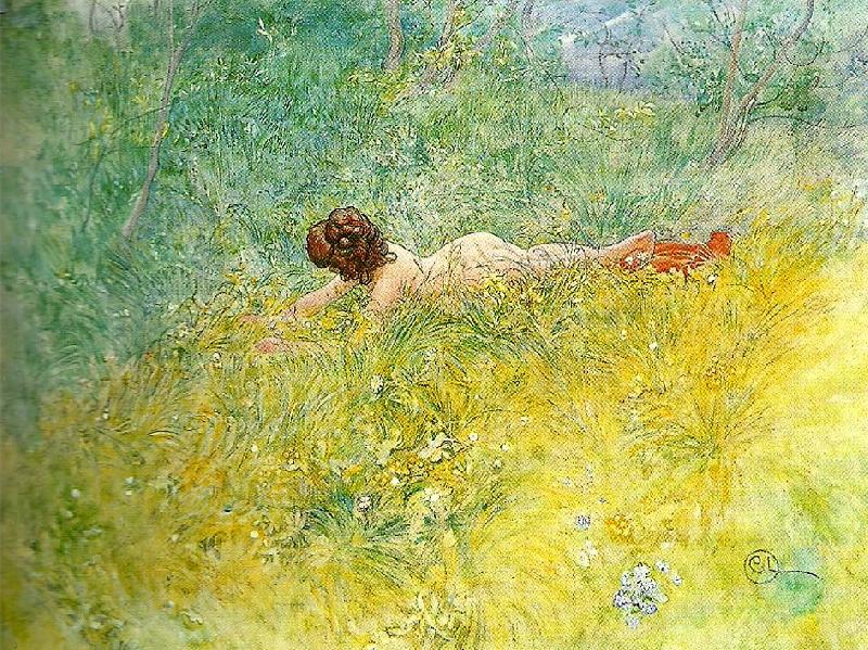 Carl Larsson i grongraset-modellen tager solbad oil painting picture